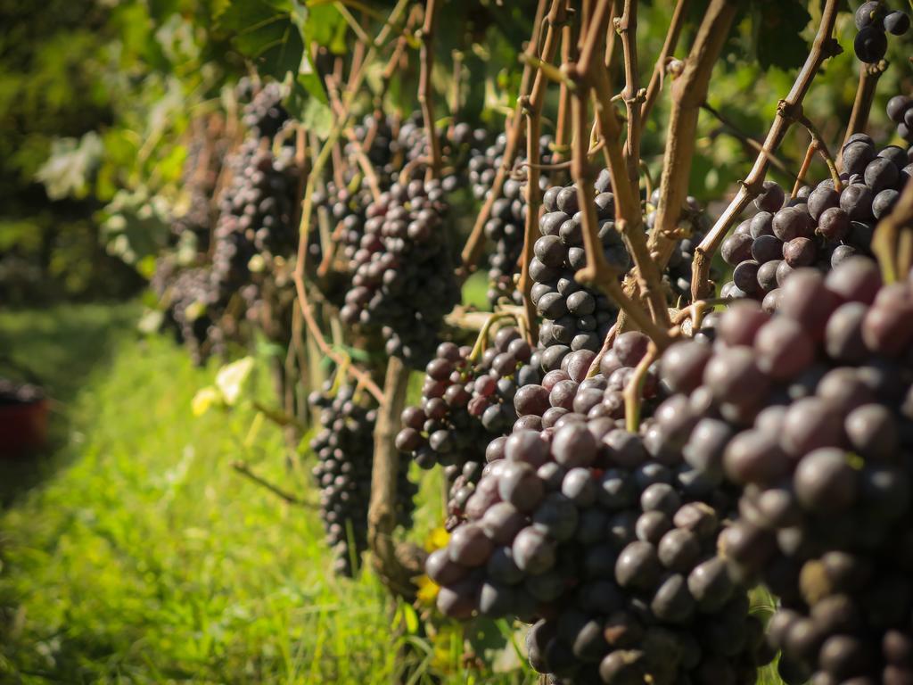 Il Molinaccio Di Montepulciano别墅 外观 照片