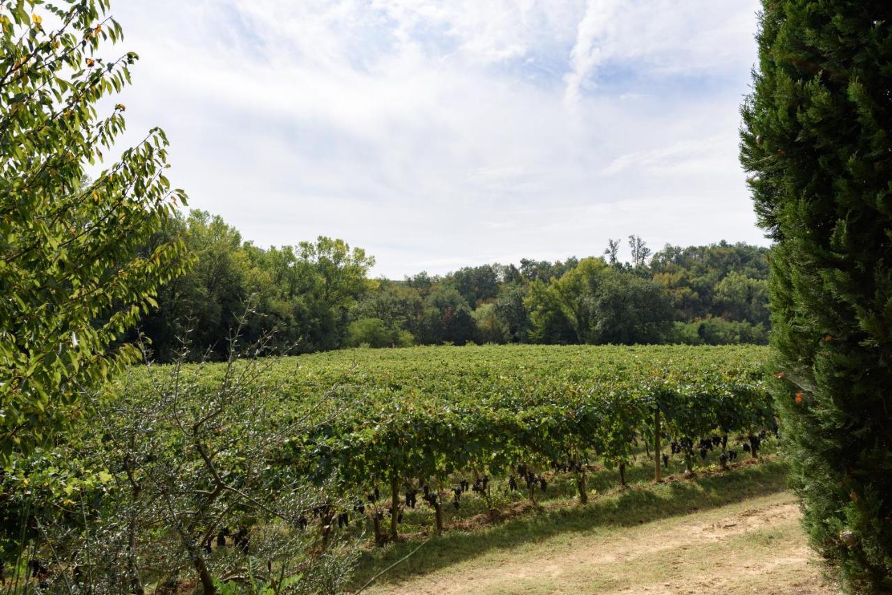 Il Molinaccio Di Montepulciano别墅 外观 照片
